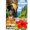 BrahmaStickers 12