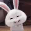 Snowball 🐇 30