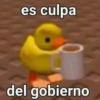 es culpa del gobierno