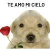 Memes de imajen randoms xd  27