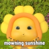 mowning sunshine
