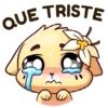 🐱 Gatinha Vanilla 13