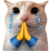 Meme Kucing Imut #4 15