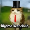 Meowl|Gato|Michi 🐈🦉 12