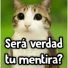 Meowl|Gato|Michi 🐈🦉 15