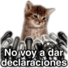 💯😝 •ANIMALITOS Frases• 😝💯 12