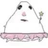 Hamster meme 20