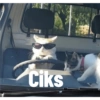 Ciks