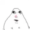 Hamster meme 5