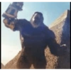 Kong 8