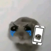 Cricetino Sad Hamster pt.2 15
