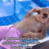 😎 STICKERS SHITPOST 17 🤙 12