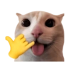 Cat meme reaction 🐈🆕 8