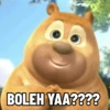 Beruang cokelat 13