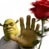 🏰🟢 SHREK MOODS 🟢🏰 14