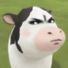 Meme Sapi Tiktok 3