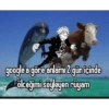 Türkçe meme #1 8