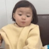 Coreana mandrak 16