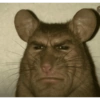 Memes aleatórios 13 🐭