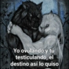 Lobo solirario 🐺 | meme 6