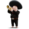 Viva México 14