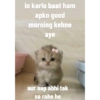 lo karlo baat ham apko good morning kehne aye aur aap abhi tak so rahe he