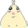 Hamster meme 7