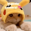 Iyi geceler 💛 24