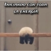 🤣Los Necesitas {Memes}😂 15