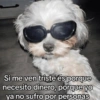 Si me ven triste es porque necesito dinero, porque yo ya no sufro por personas