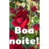 Boa noite Flores 25
