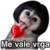💯😝 •ANIMALITOS Frases• 😝💯 13