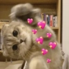 Gatinhos + emojis 😻 10