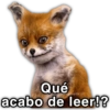 💯😝 •ANIMALITOS Frases• 😝💯 18