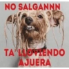 🤣Los Necesitas {Memes}😂 7