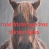 más triste que tres tristes ligres