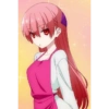 Tsukasita 17