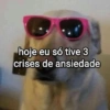 SURTOS LEVES & MEMES {😂} 5