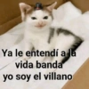 Randoms pal chat ✨💅🏼 29