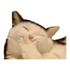 Gatos y algo mas 16