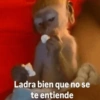 Para Pelear 🥊😡 9