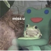 Frog 29
