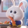 Snowball 🐇 6