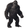 Kong 10