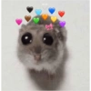 Sad hamster 10