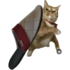 Meme Kucing Lempar 😾 11