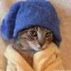 Pets fofos  26