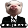 💯😝 •ANIMALITOS Frases• 😝💯 16