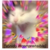 [sonido incomprensible]