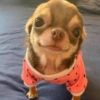 To